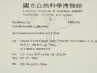 登錄號:F0030345藏品圖，第2張