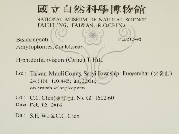 登錄號:F0030346藏品圖，第2張