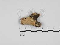 登錄號:F0030346藏品圖，第1張