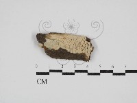 登錄號:F0030348藏品圖，第1張