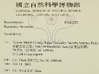 登錄號:F0030350藏品圖，第2張
