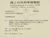 絲齒菌屬藏品圖，第2張