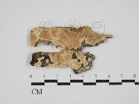 登錄號:F0030352藏品圖，第1張