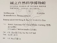 登錄號:F0030356藏品圖，第2張