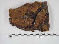 登錄號:F0030356藏品圖，第1張