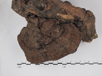 登錄號:F0030357藏品圖，第3張