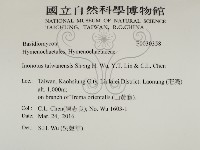 登錄號:F0030358藏品圖，第2張