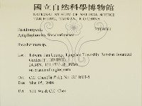 齒耳菌屬藏品圖，第2張