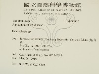 刺皮菌屬藏品圖，第2張