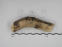登錄號:F0030363藏品圖，第1張