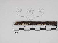 登錄號:F0030364藏品圖，第1張