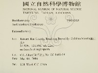 刺皮菌屬藏品圖，第2張