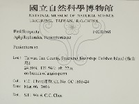 筍殼菌屬藏品圖，第2張