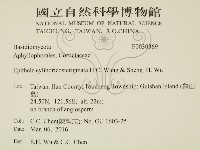 登錄號:F0030369藏品圖，第2張