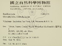 登錄號:F0030375藏品圖，第2張