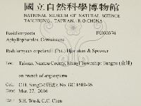 登錄號:F0030376藏品圖，第2張