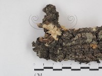 登錄號:F0030376藏品圖，第1張