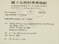 剛毛絲皮菌藏品圖，第2張
