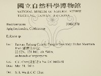 登錄號:F0030378藏品圖，第2張