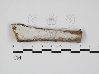 登錄號:F0030378藏品圖，第1張