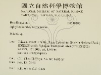 登錄號:F0030380藏品圖，第2張