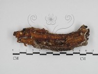 登錄號:F0030380藏品圖，第1張
