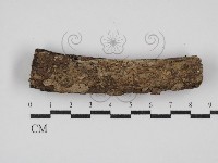 登錄號:F0030382藏品圖，第1張