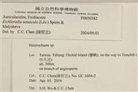 登錄號:F0030382藏品圖，第3張