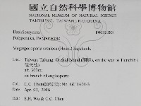 登錄號:F0030383藏品圖，第2張