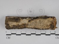 登錄號:F0030383藏品圖，第1張