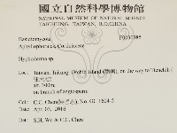 絲皮菌屬藏品圖，第2張