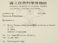 登錄號:F0030386藏品圖，第2張