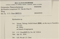 登錄號:F0030386藏品圖，第3張