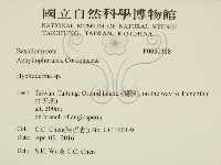 絲皮菌屬藏品圖，第2張