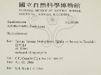登錄號:F0030389藏品圖，第2張