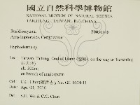 登錄號:F0030390藏品圖，第2張