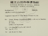 登錄號:F0030391藏品圖，第2張