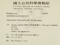 登錄號:F0030392藏品圖，第2張