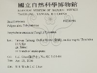 登錄號:F0030393藏品圖，第2張
