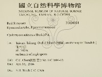 登錄號:F0030394藏品圖，第2張