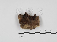 登錄號:F0030394藏品圖，第1張