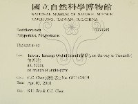 登錄號:F0030395藏品圖，第2張