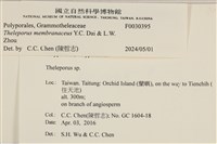 登錄號:F0030395藏品圖，第3張