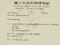 登錄號:F0030396藏品圖，第2張