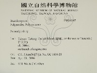 登錄號:F0030397藏品圖，第2張