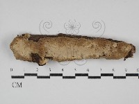 登錄號:F0030397藏品圖，第1張