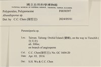 登錄號:F0030397藏品圖，第3張