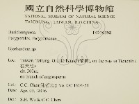 登錄號:F0030398藏品圖，第2張