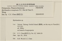 登錄號:F0030398藏品圖，第3張