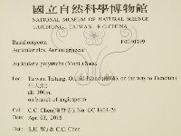 登錄號:F0030399藏品圖，第2張